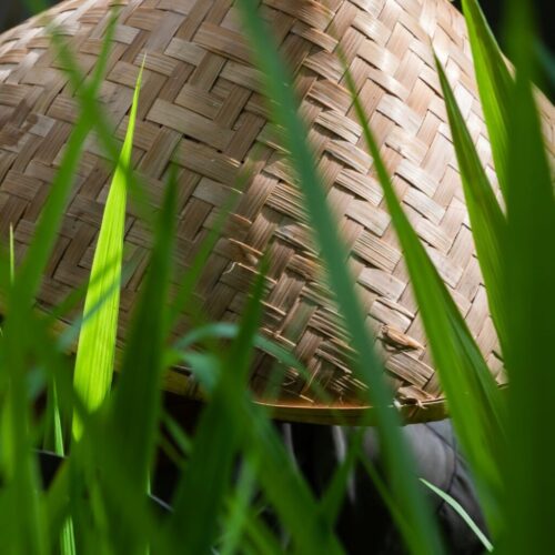 FARMER'S HAT