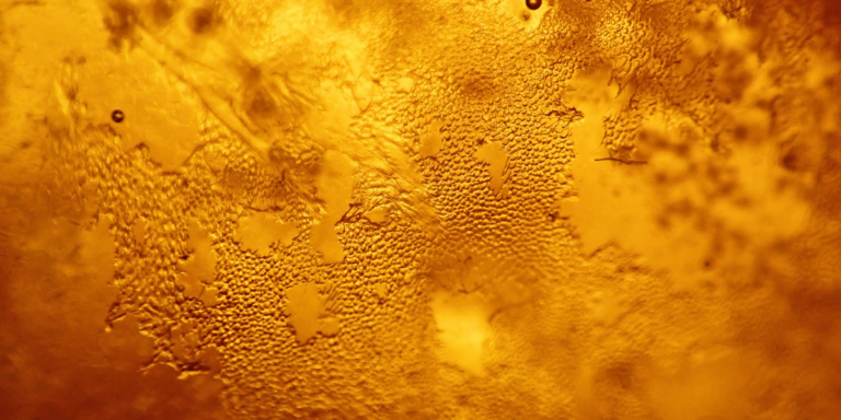 The Lombok Lodge Liquid Gold